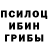 Галлюциногенные грибы Psilocybine cubensis Haruto Uzumake