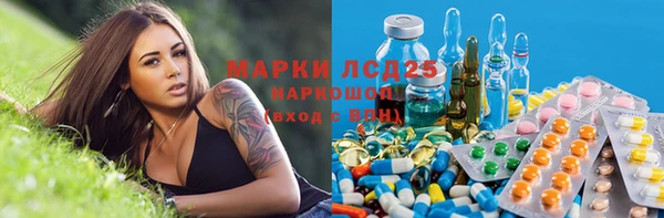 ешки Аркадак