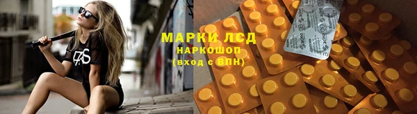 ешки Аркадак