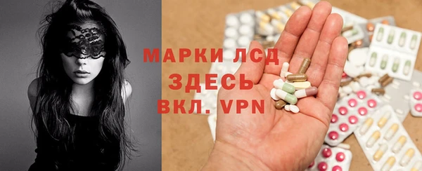 ешки Аркадак