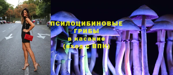 гидра Баксан