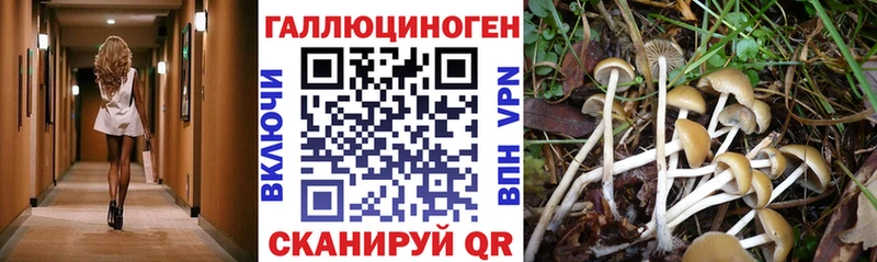 где можно купить наркотик Поронайск Галлюциногенные грибы MAGIC MUSHROOMS